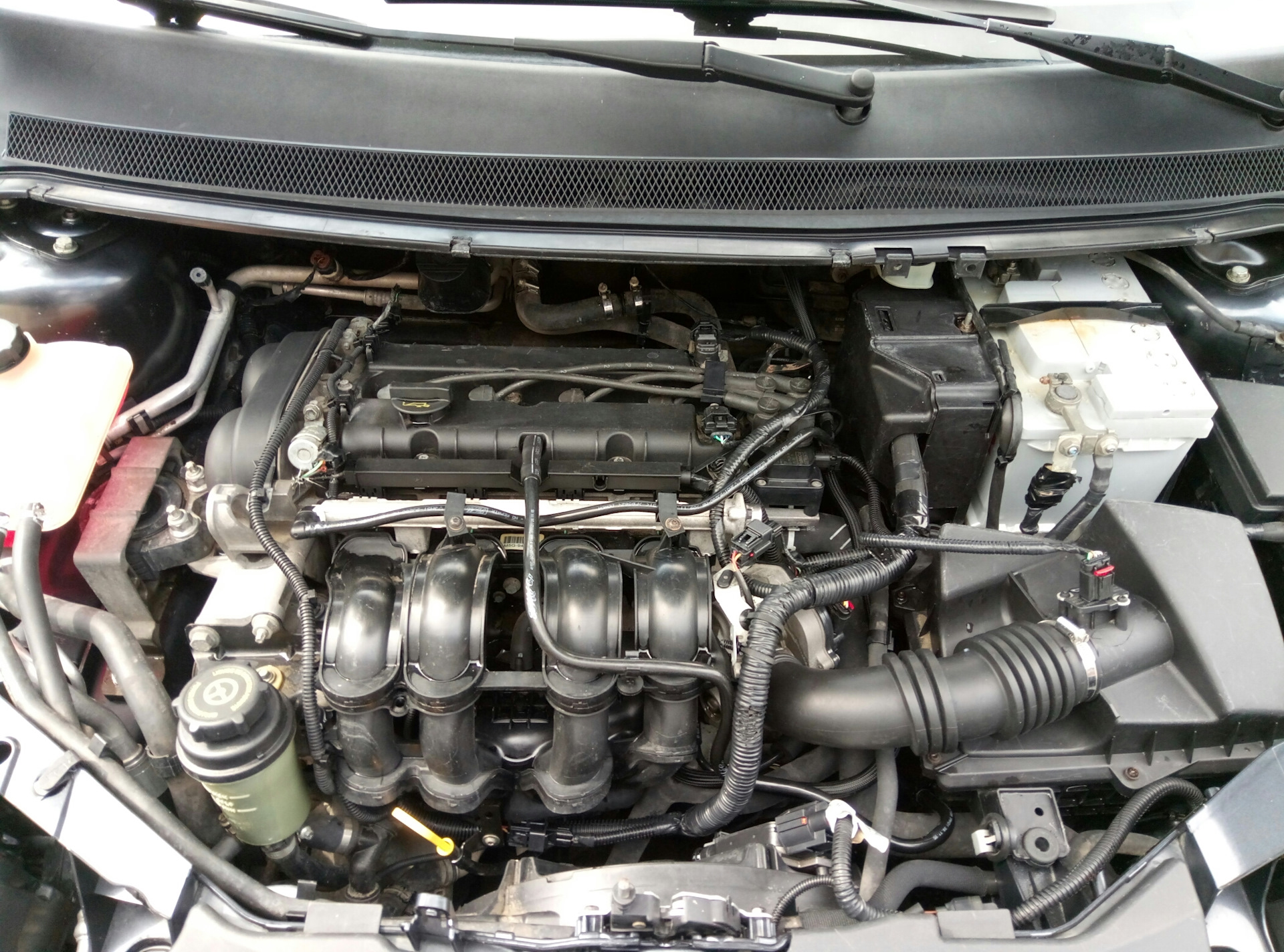 Motor Ford Duratec Ti-VCT 16V Sigma 1.6 de 115 cv (Ford Focus)